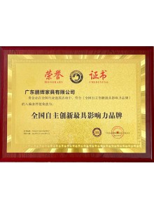 全國自主創新**影響力品牌