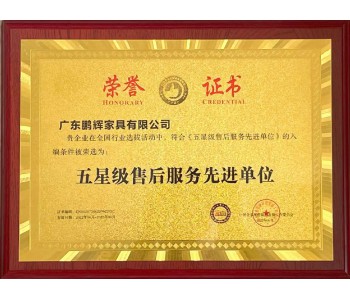 五星級(jí)售后服務(wù)先進(jìn)單位